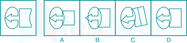 LMRC Figure Association Test (Ex. 4) Madhuri Qs 12