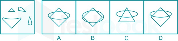 LMRC Figure Association Test (Ex. 4) Madhuri Qs 13