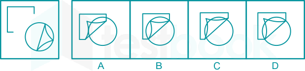 LMRC Figure Association Test (Ex. 4) Madhuri Qs 6