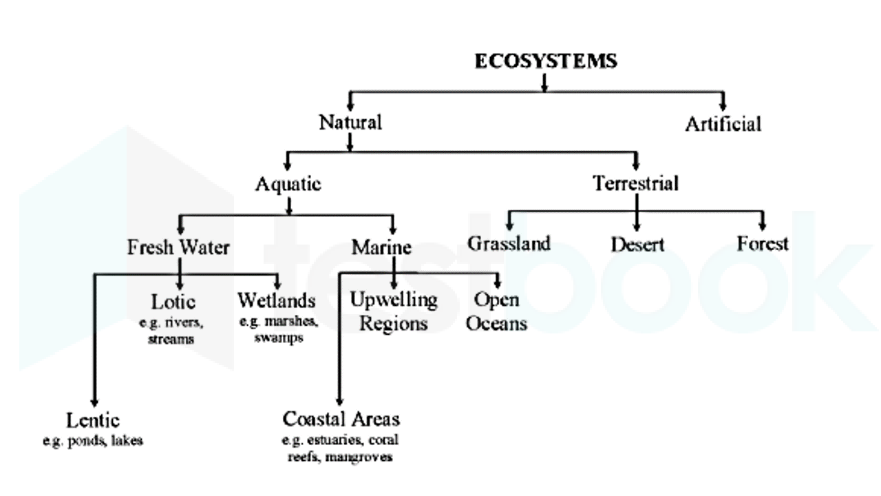 Types of ecosystem