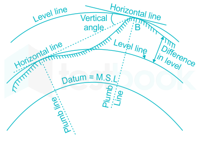 Solved] The most fundamental line in Surveying is.