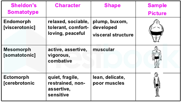 Solved] H. Sheldon divided all human beings into endomorphic, mesomo