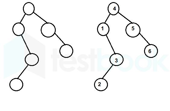 binary tree