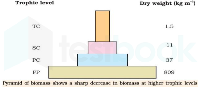 biomass