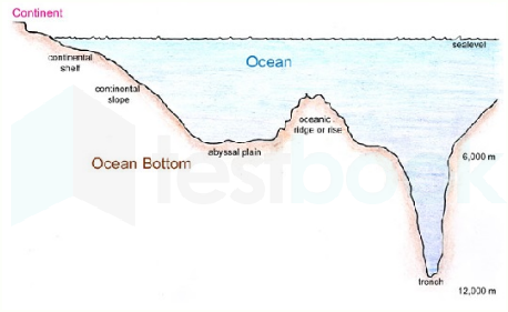 deep ocean floor diagram