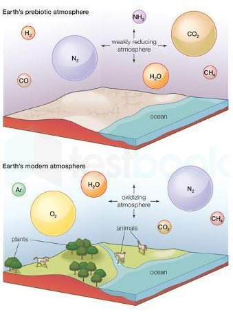 primitive earth