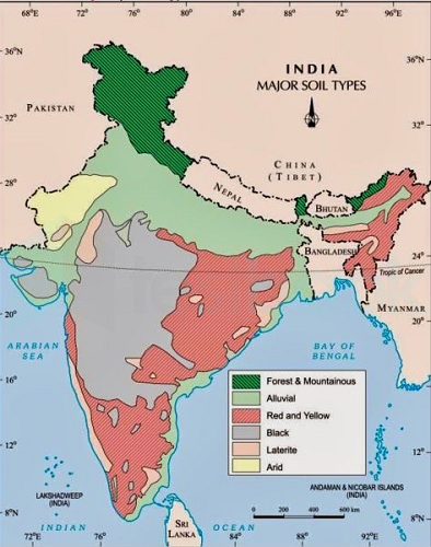 soil map