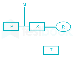 Famtree848128