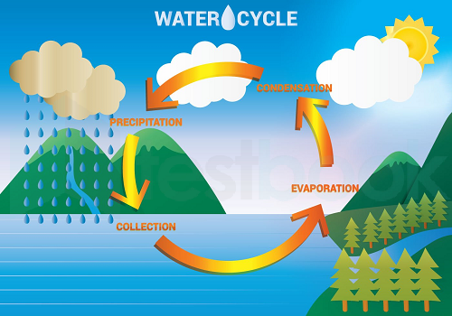 water-cycle-diagram-vector