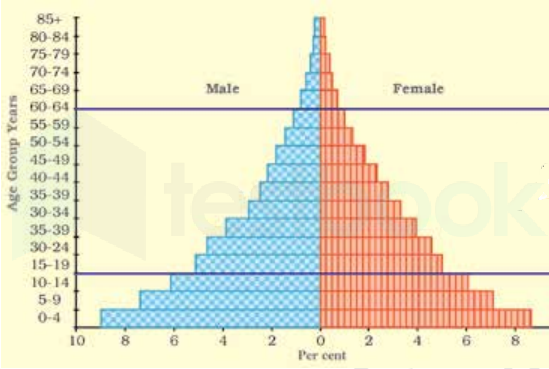 [Solved] What is a population pyramid?