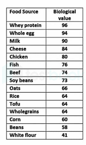 [Solved] Which food has maximum biological value for proteins
