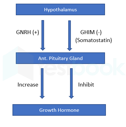 Solved Which of the following hormones will be expected to