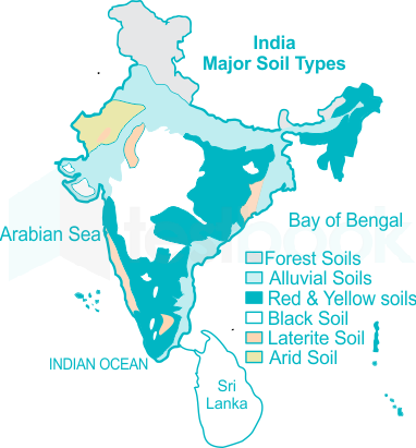 places where alluvial soil is found in india