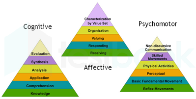 PE Activities to Engage Students in the Three Domains of Learning