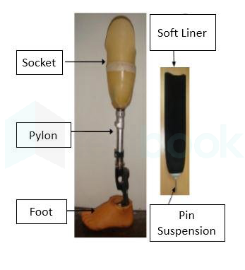Figure-3-1-component-for-lower-limb-amputation-Trans-tibial-prosthesis-52