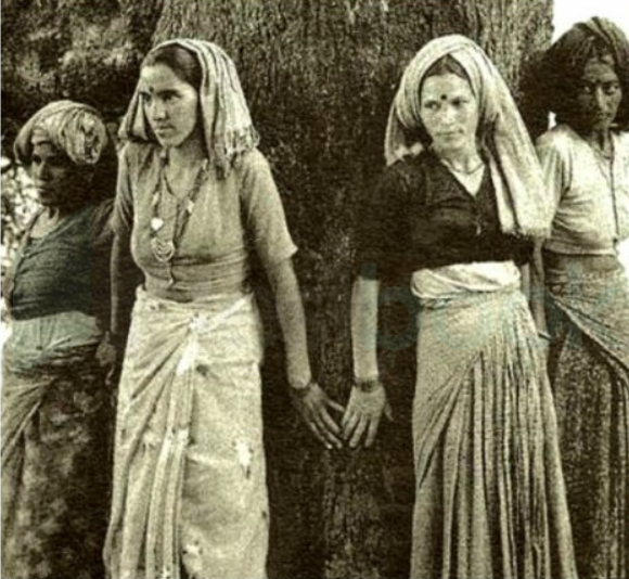 chipko movement