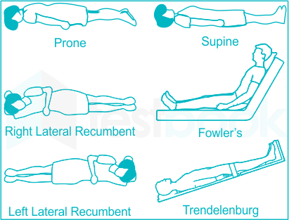 knee chest position