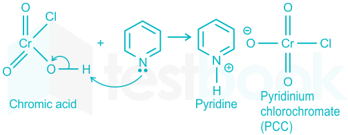 [Solved] The major product formed in the following reaction is (PC