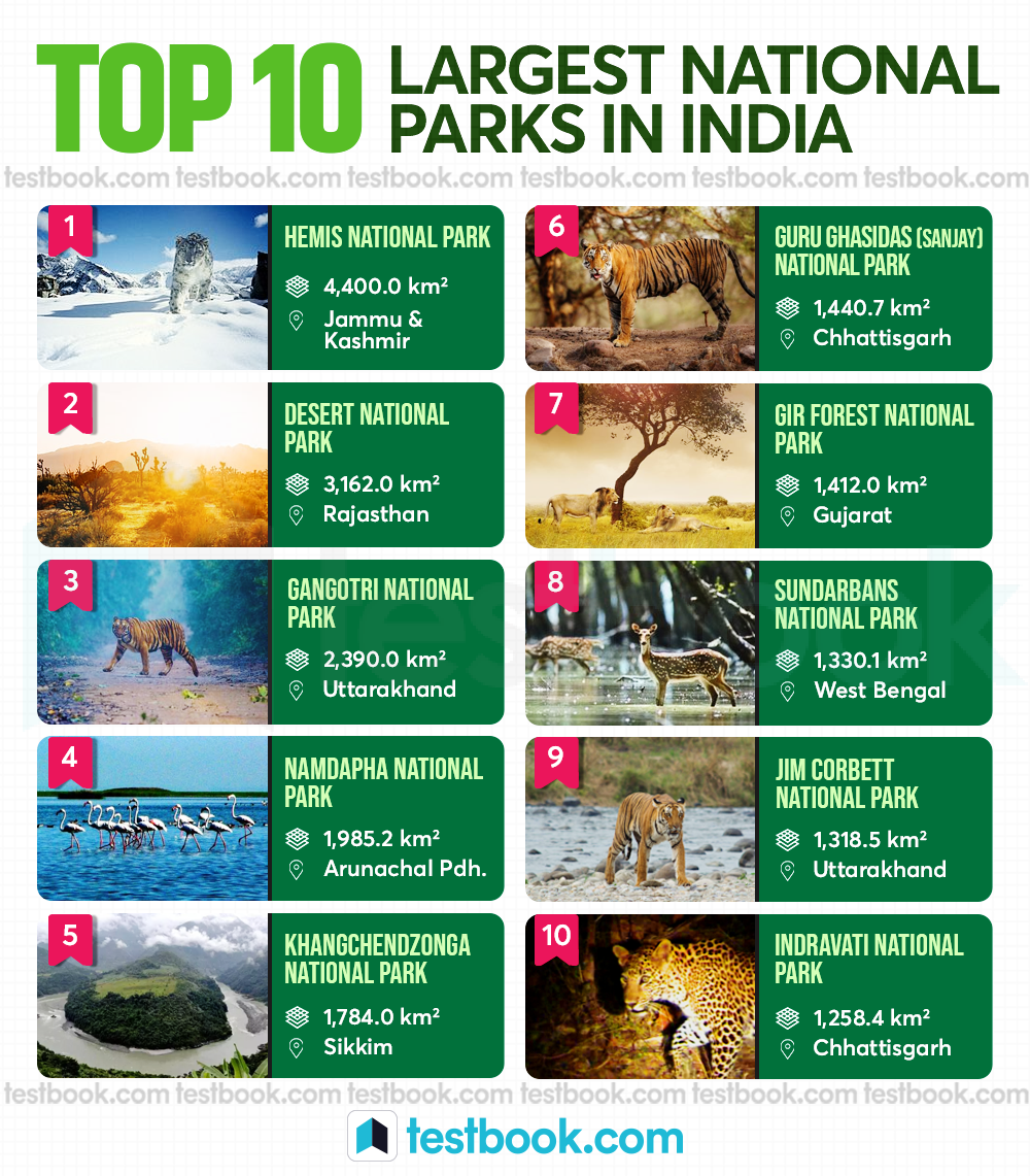 biggest-national-parks-in-india-eb8660b2