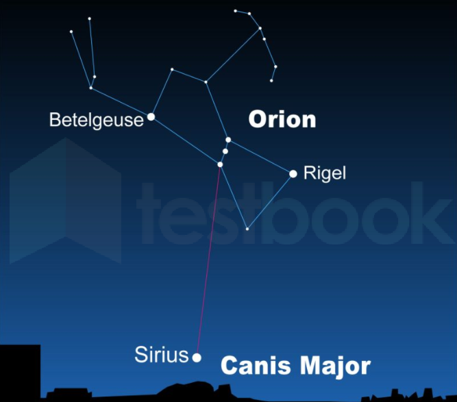 [Solved] Which is the constellation which is also called as the hunte