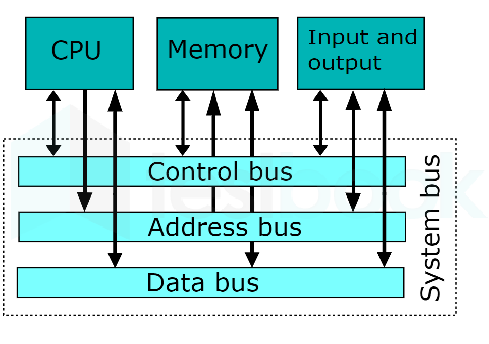 62215a0d4e57199931c1e586 16472512695841