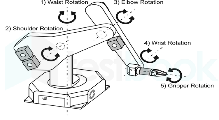 625106adc20f317538249c36 16502970652641