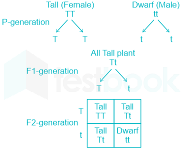 F3 Madhuri Engineering 25.04.2022 D10