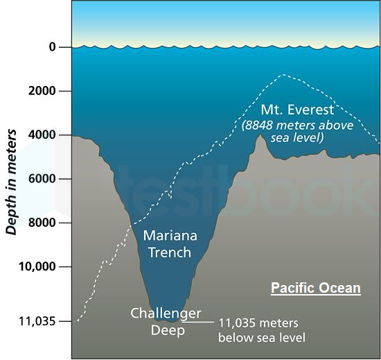 Pacific