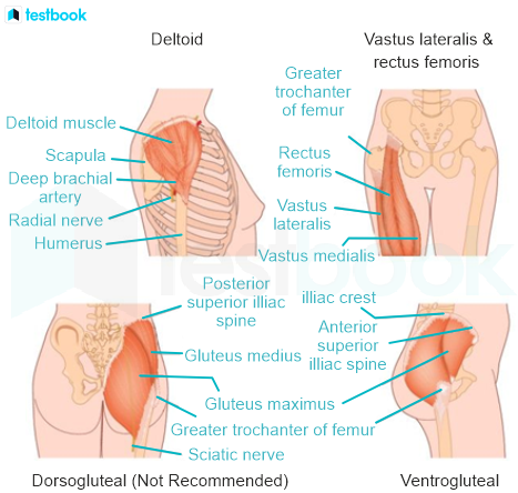 F1 savita Nursing 30-5-22 D3