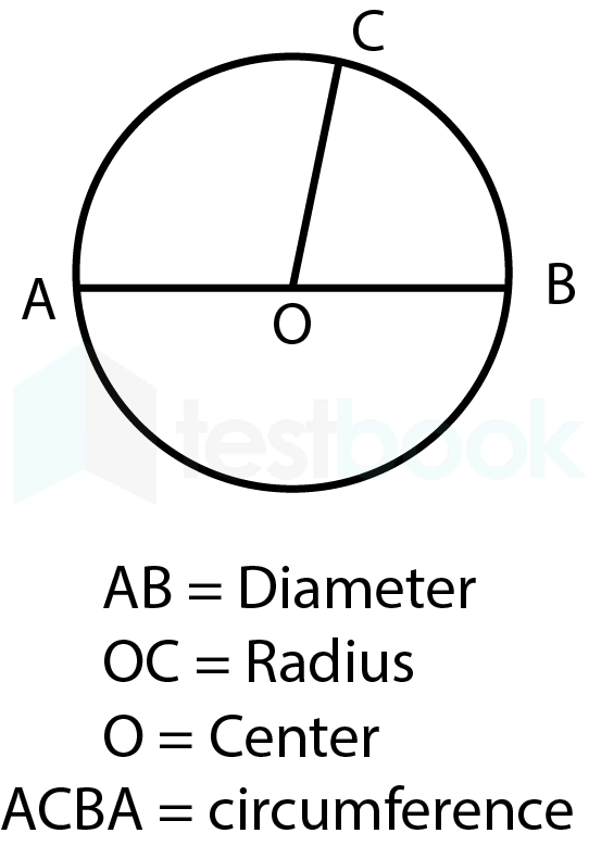 solved-select-the-components-of-circle-from-the-options-given-below