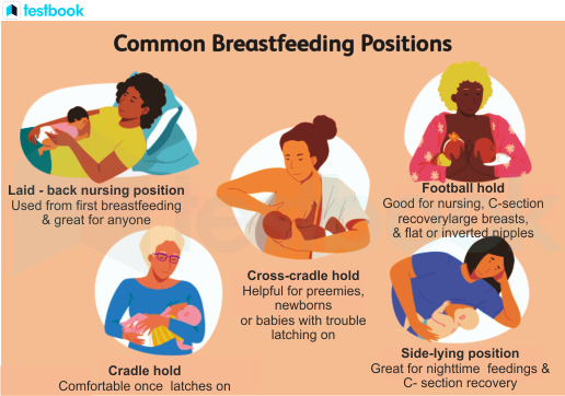 Common breastfeeding positions