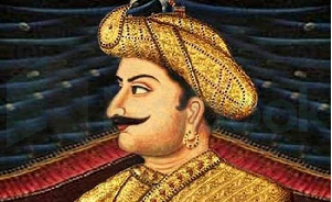 tipu