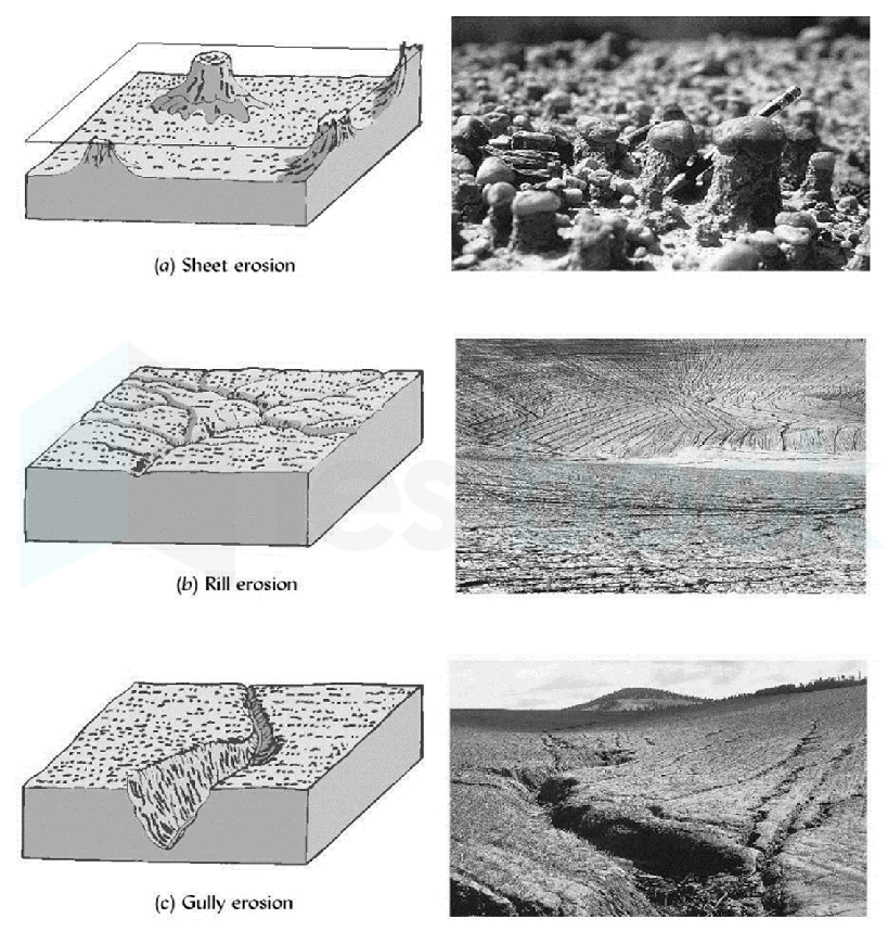Types-of-water-erosion-a-Sheet-erosion-b-Rill-erosion-c-gully-erosion-Modified-from