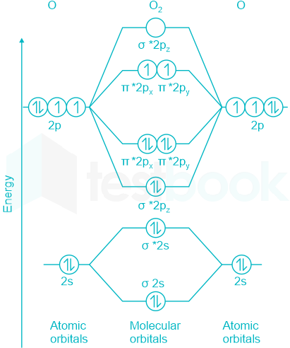 F1 Savita Teaching 5-9-22 D1