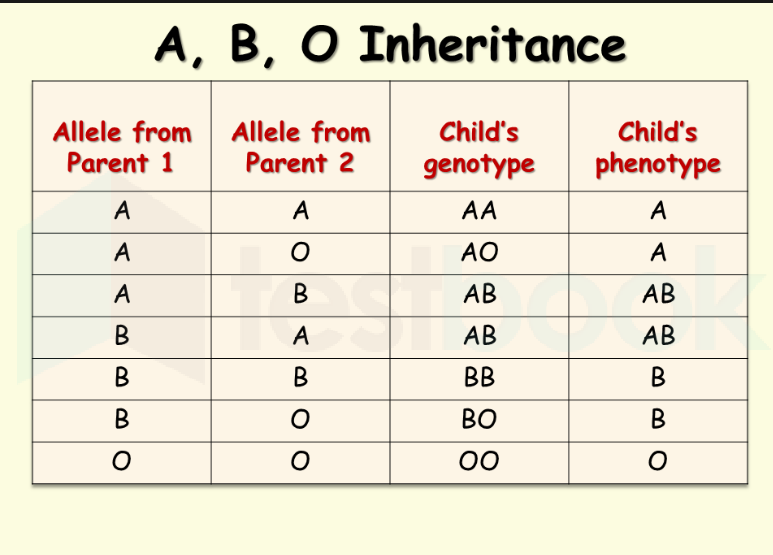 blood group