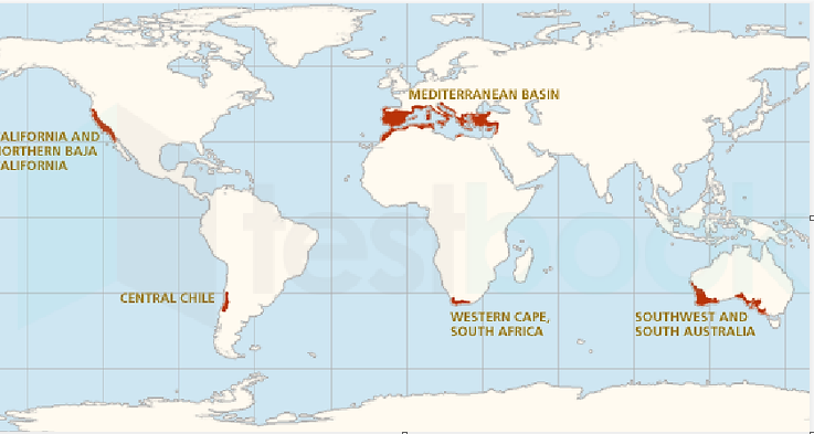 mediterrabea climate