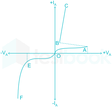 F1 Mrunal Engineering 09.10.2022 D22 V2