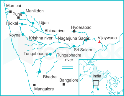 Tributary  Marathi Meaning of Tributary