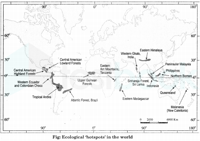 Class-11-Geography-NCERT-Solutions-Chapter-16-Biodiversity-and-Conversation-HOTS-Q3