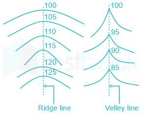 Curves To Contour