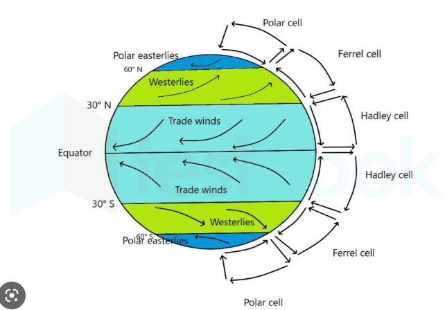 polar easterlies diagram