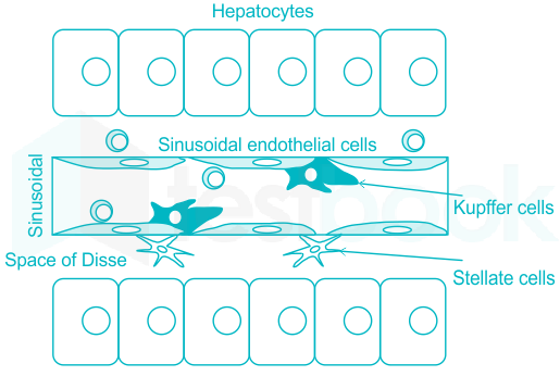 F1 Biology Mrunal 23.02.2023 D4