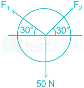 F1 Vinanti Engineering 01.02.23 D5