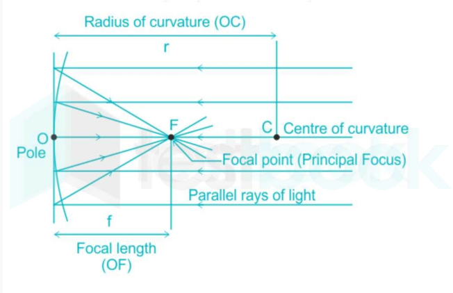 focal