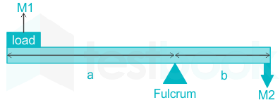 F1 Engineering Mrunal 22.03.2023 D3