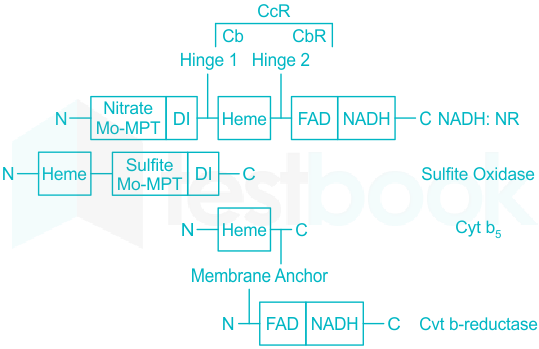 F3 Madhuri Teaching 28.02.2023 D6