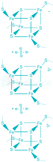 F2 Vinanti Teaching 30.05.23 D10