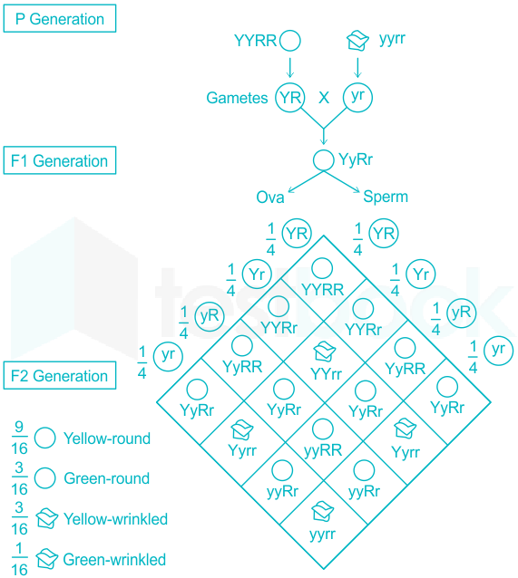 F2 Vinanti Teaching 29.06.23 D1