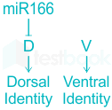 F3 Vinanti Teaching 19.06.23 D11