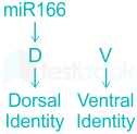 F3 Vinanti Teaching 19.06.23 D12